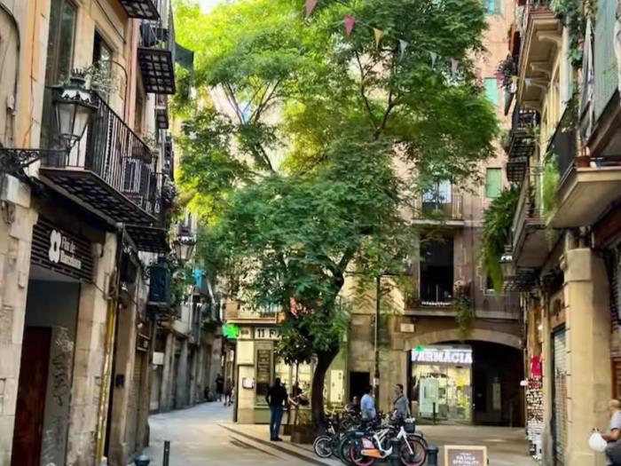 Очаровательный лофт в Эль Борн – минимум 31 ночь, отличное распол - My Space Barcelona Aпартаменты