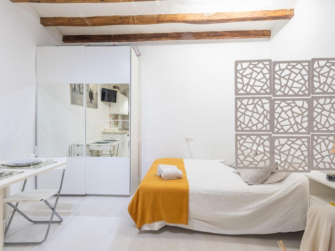 Очаровательный лофт в Эль Борн – минимум 31 ночь, отличное распол - My Space Barcelona Aпартаменты