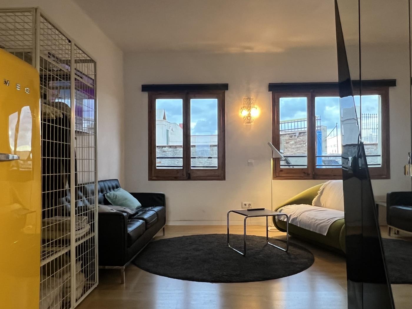 Отремонтированный лофт с 2 спальнями и террасой в Готическом квар - My Space Barcelona Aпартаменты